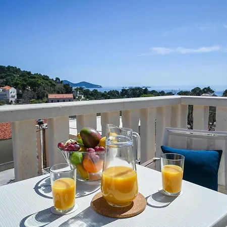 Casa Laurea Guest house Zaton (Dubrovnik-Neretva)